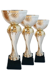 CTS 378    |   SET de 3  Cupe Sportive